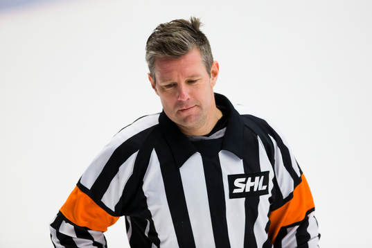 Domaren Wolmer Edqvist