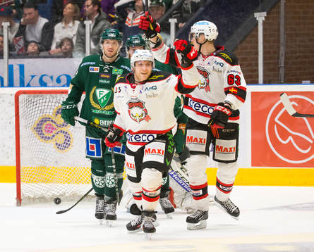 Malmö Redhawks  spelare jublar