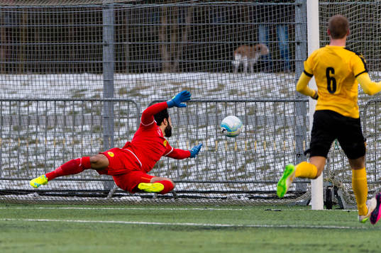 Frejs målvakt Marko Atanackovic ser bollen gå in till 1-0