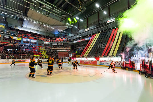 Brynäs supportrar med ett TIFO innan ishockeymatchen i SHL