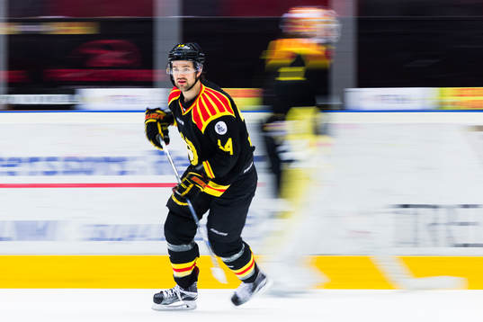 Brynäs Johan Alcén