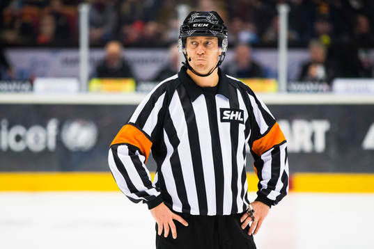Domare Sören Persson