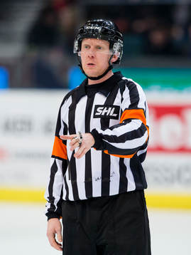 Domare Mikael Holm