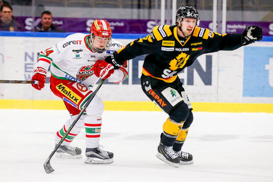 Skellefteås Martin Lundberg