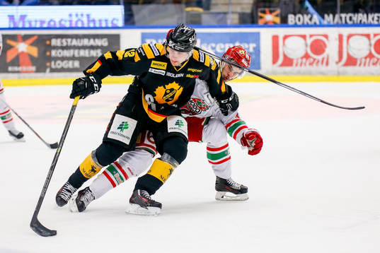 Skellefteås Adam Pettersson