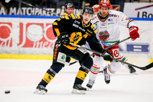 Skellefteås Pär Lindholm