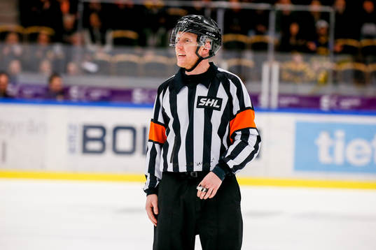Domaren Mikael Holm