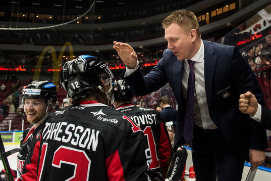 Malmö Redhawks assisterande tränare Jesper Mattsson