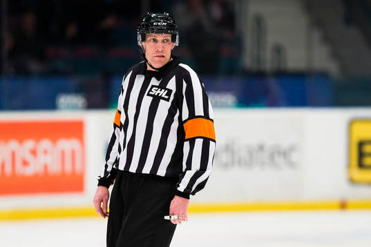 Domare Morgan Johansson
