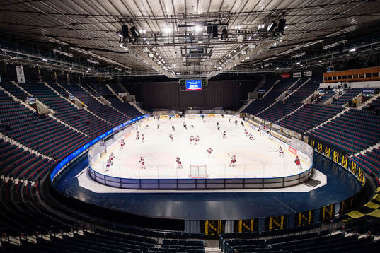 Generell vy av Hovet