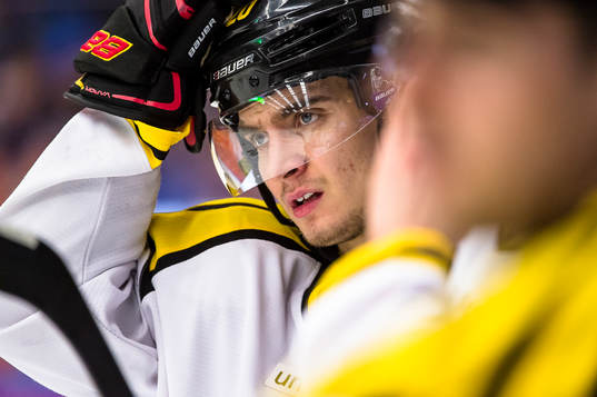 Brynäs Adam Brodecki deppar