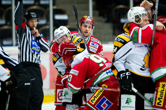 Skellefteås Niclas Burström, Modos Ilari Filppula, Byron