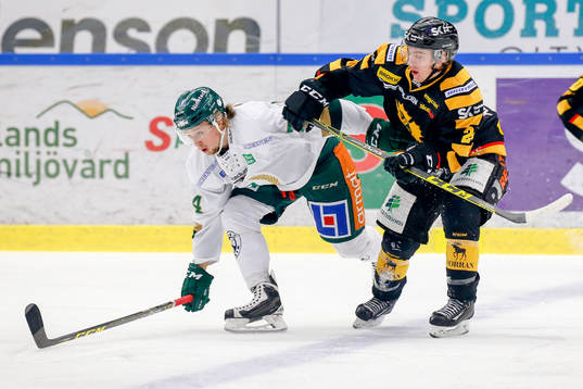 Bläddra bland fler bilder av Ishockey, SHL, Skellefteå - Färjestad