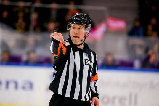 Domaren Morgan Johansson
