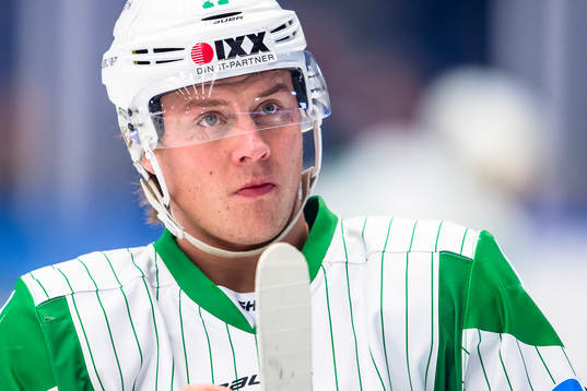 Rögles David Åslin