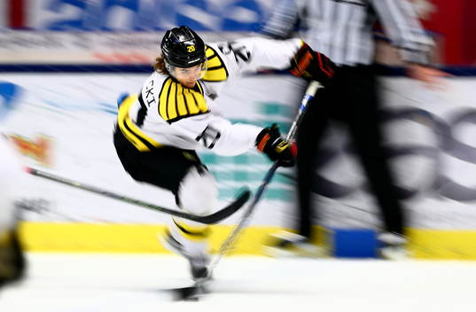 Brynäs Adam Brodecki