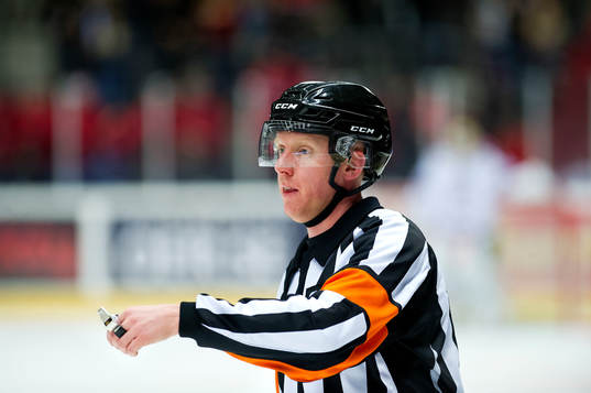 Domaren Mikael Holm