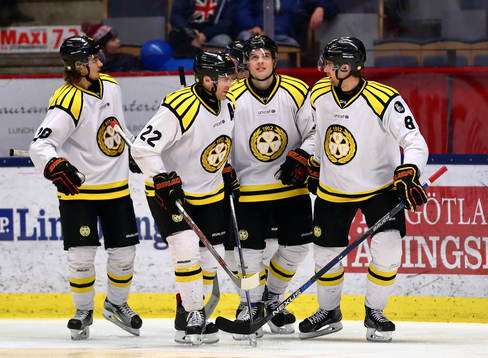 Brynäs jublar