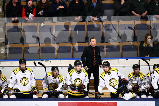 Brynäs tränare Thomas Berglund