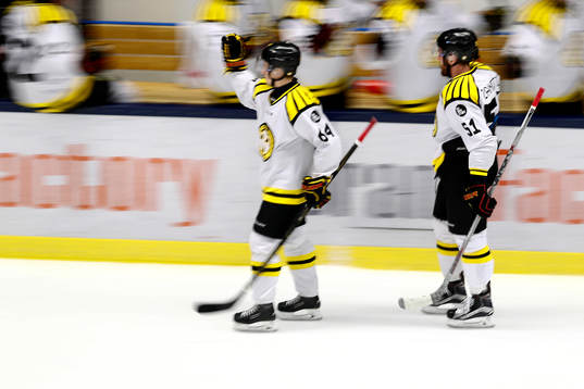 Brynäs jublar