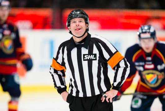 Domare Wolmer Edqvist