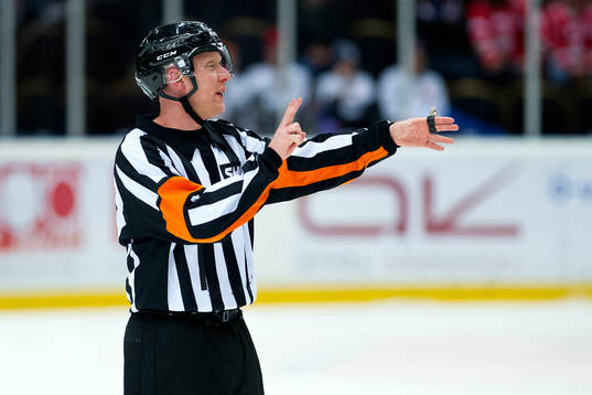 Domaren Mikael Holm