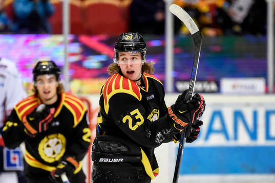 Brynäs Lucas Carlsson jublar