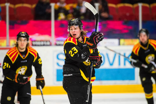 Brynäs Lucas Carlsson jublar