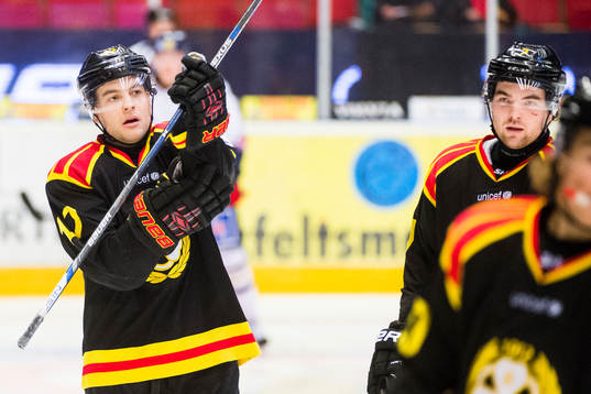 Brynäs Pathrik Westerholm och Ponthus Westerholm