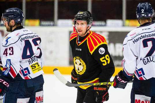 Brynäs Sebastian Enterfeldt