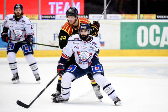 Linköpings Daniel Rahimi och Brynäs Nick Johnson
