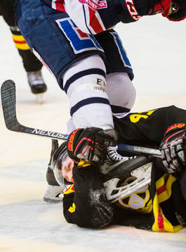 Brynäs Greg Scott