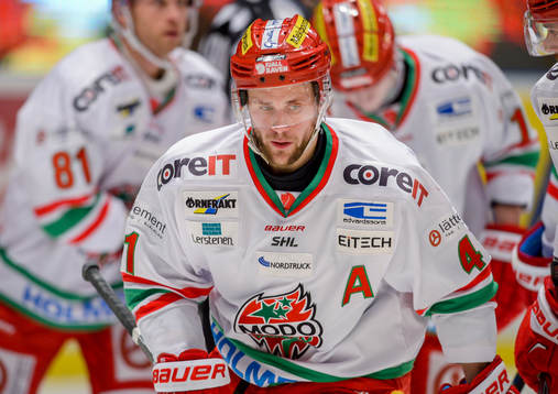 Modos Oscar Hedman jublar