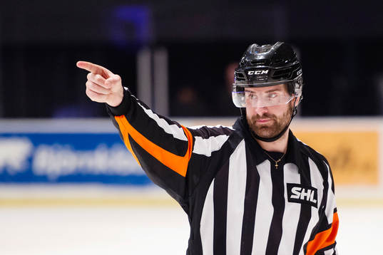 Domare Mikael Sjöqvist