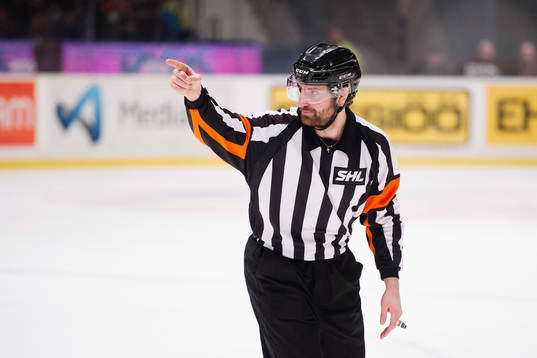 Domare Mikael Sjöqvist