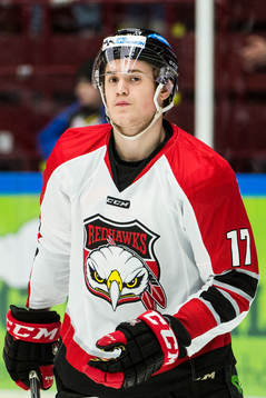 Malmö Redhawks David Sätmark