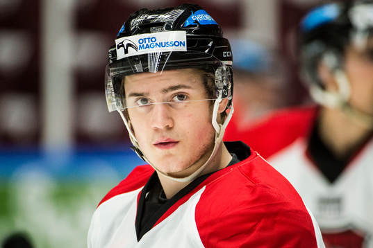 Malmö Redhawks David Sätmark