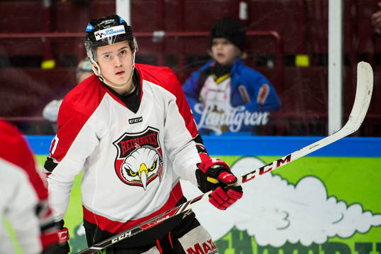 Malmö Redhawks David Sätmark