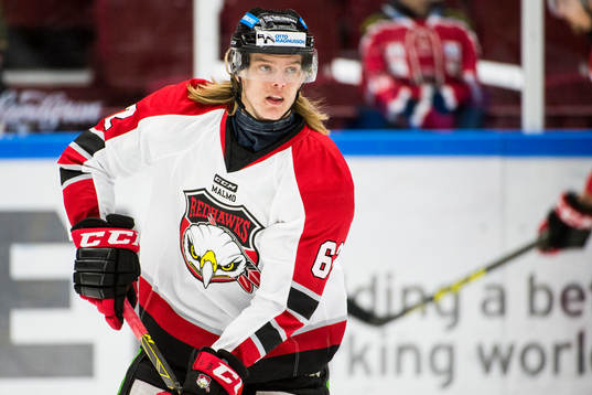 Malmö Redhawks Carl-Johan Lerby