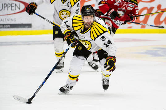 Brynäs Johan Alcén
