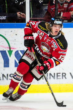 Malmö Redhawks Carl-Johan Lerby