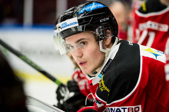 Malmö Redhawks David Sätmark i båset