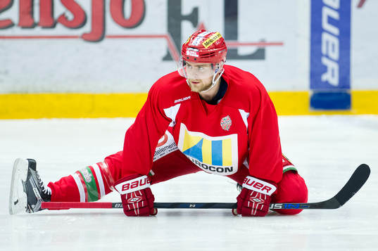 Modos Nichlas Torp