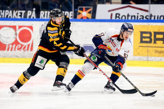 Bläddra bland fler bilder av Ishockey, SHL, Skellefteå - Djurgården
