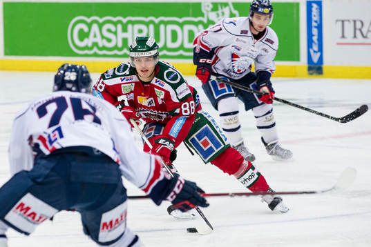 Bläddra bland fler bilder av Ishockey, SHL, Frölunda - Linköping