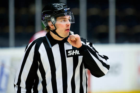 Domaren Daniel Persson