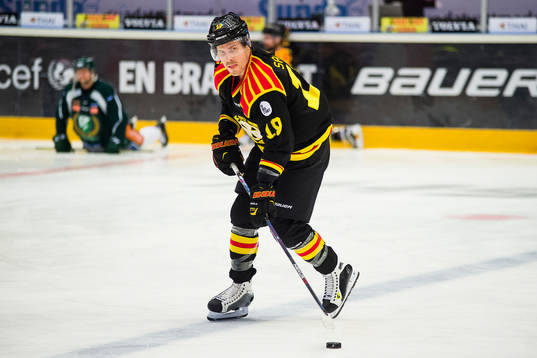 Brynäs Anssi Salmela är tillbaka