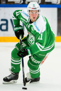 Rögles David Åslin