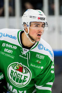 Rögles Alen Bibic