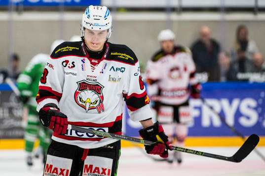 Malmö Redhawks Fredrik Händemark deppar